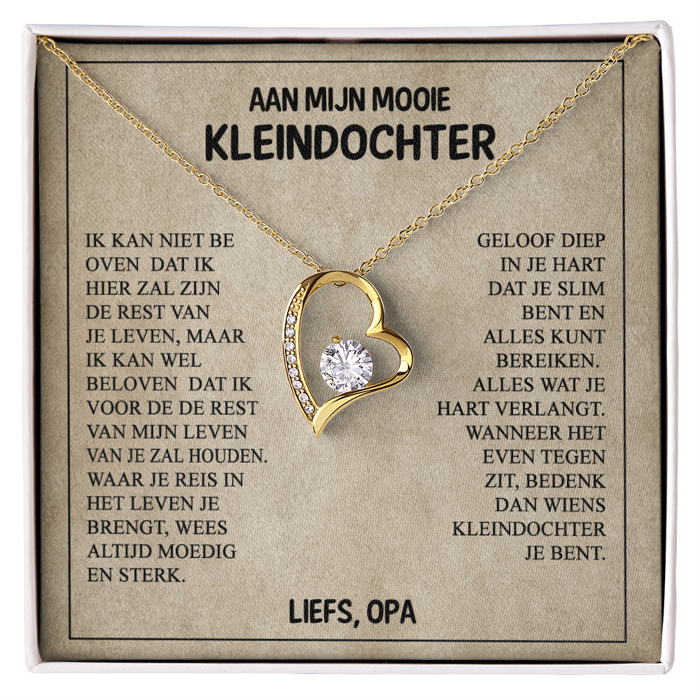 Aan mijn Mooie Kleindochter - Wees dapper en sterk - Hartketting