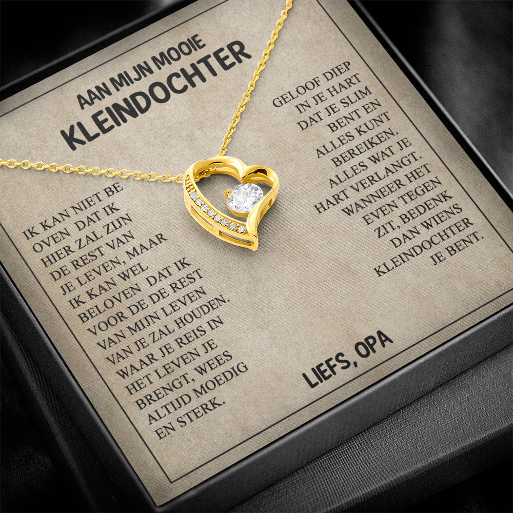 Aan mijn Mooie Kleindochter - Wees dapper en sterk - Hartketting
