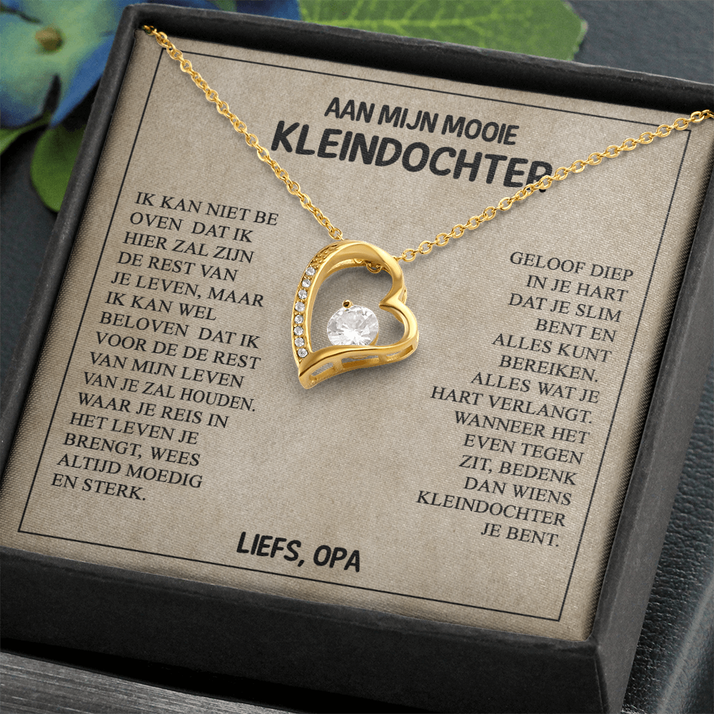Aan mijn Mooie Kleindochter - Wees dapper en sterk - Hartketting