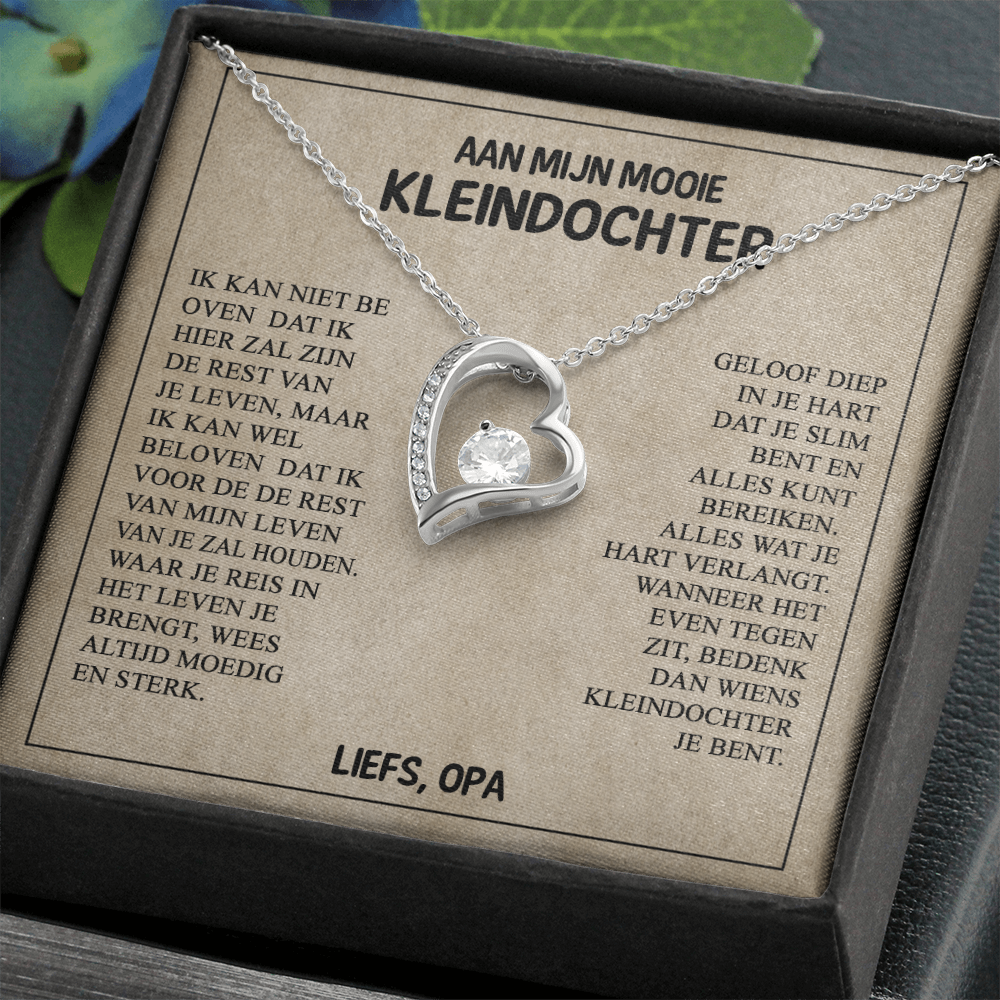 Aan mijn Mooie Kleindochter - Wees dapper en sterk - Hartketting