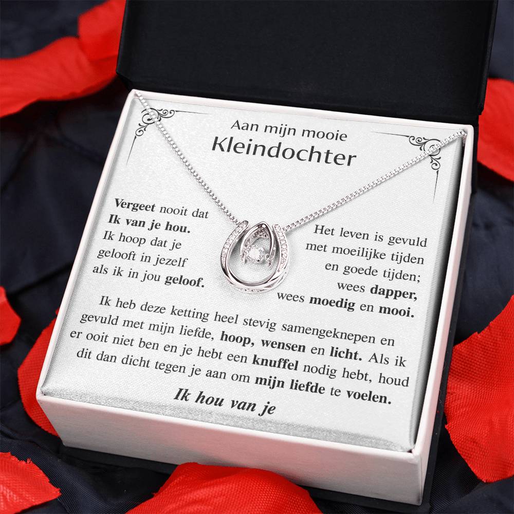 Aan mijn prachtige kleindochter - Hoefijzerketting