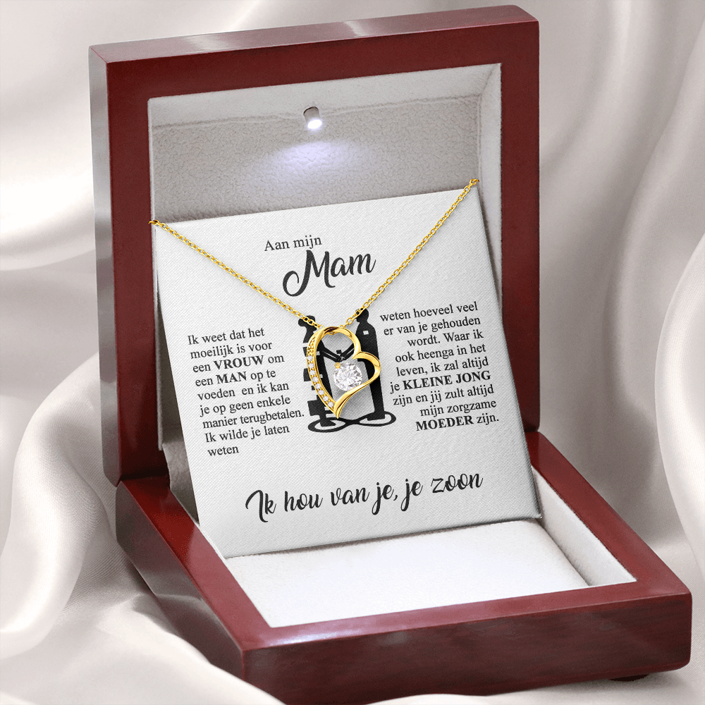 Aan mijn Mam - Ik hou van jou - Hartketting