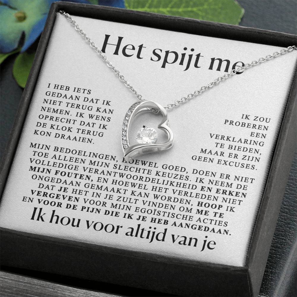 Excuses cadeau voor haar - Hart ketting